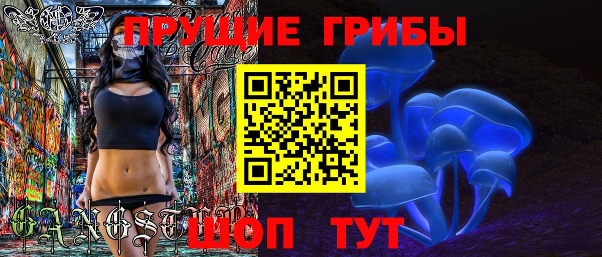 Зерноград  Псилоцибиновые грибы Psilocybe  Вход с VPN 